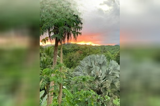  maison petit-bg 97170