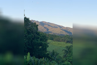  maison petit-bg 97170