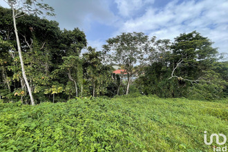  maison petit-bg 97170