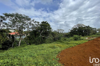  maison petit-bg 97170