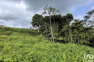  maison petit-bg 97170