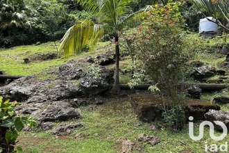  maison petite-ile 97429