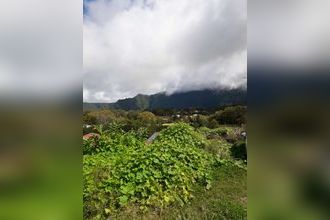  maison plaine-des-palmistes 97431