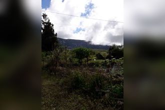  maison plaine-des-palmistes 97431