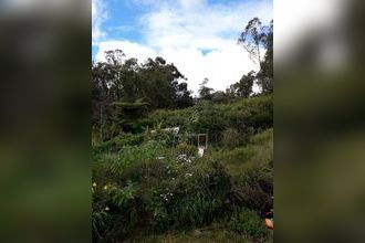  maison plaine-des-palmistes 97431