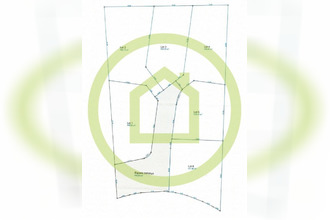  maison plaine-des-palmistes 97431