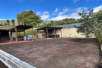  maison plaine-des-palmistes 97431