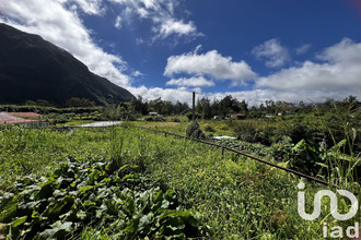  maison plaine-des-palmistes 97431