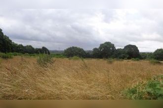  maison plaine-haute 22800