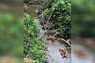  maison pleurtuit 35730