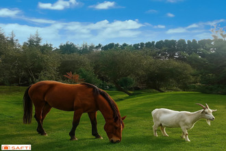  maison plouegat-moysan 29650