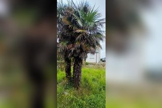  maison plouguerneau 29880