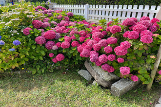  maison plouguerneau 29880