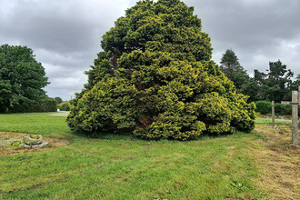  maison plounevez-lochrist 29430