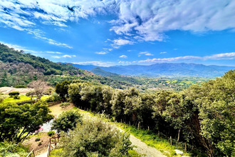  maison poggio-d-oletta 20232