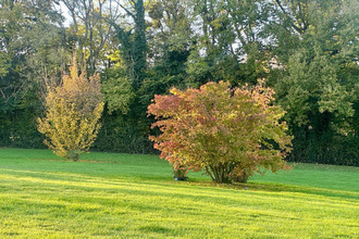  maison pont-l-eveque 14130