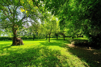  maison pont-l-eveque 14130