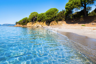  maison porto-vecchio 20137