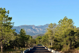  maison porto-vecchio 20137
