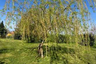  maison precy-sous-thil 21390