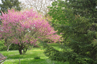  maison preuilly-sur-claise 37290