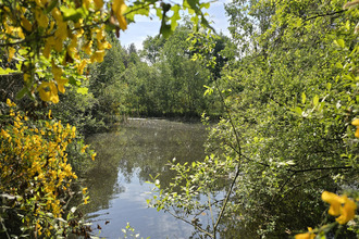  maison pruniers-en-sologne 41200