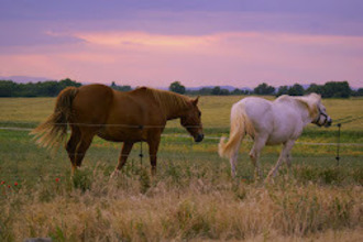  maison quinson 04500