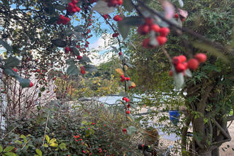  maison rang-du-fliers 62180