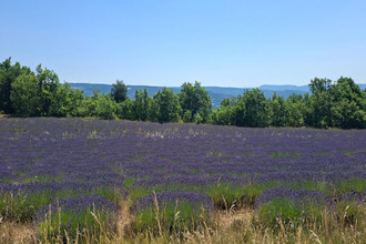  maison revest-du-bion 04150