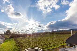  maison ribeauville 68150