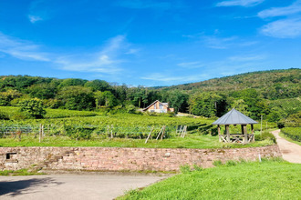  maison ribeauville 68150