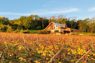  maison ribeauville 68150