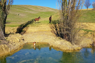  maison riguepeu 32320