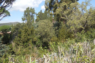  maison roquebrune-sur-argens 83380