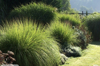  maison sain-bel 69210