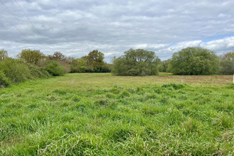  maison sallertaine 85300