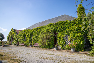  maison sallertaine 85300