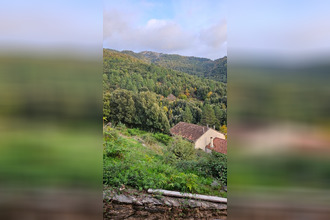  maison san-lorenzo 20244