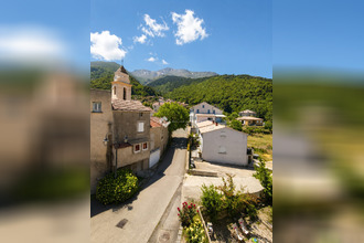  maison santo-pietro-di-venaco 20250