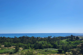  maison sari-solenzara 20145