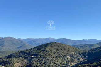  maison sartene 20100