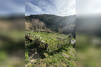  maison sartene 20100