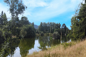  maison saulcy-sur-meurthe 88580