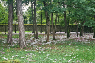  maison savonnieres 37510