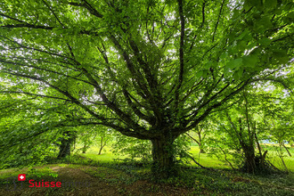  maison senargent-mignafans 70110