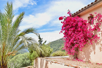  maison serriera 20147