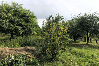  maison sion-les-mines 44590