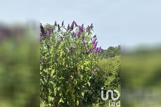  maison siorac-de-riberac 24600