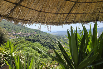  maison sollacaro 20140