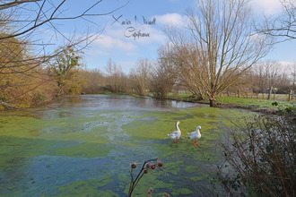  maison st-christophe-en-bresse 71370